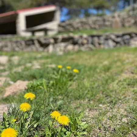 Refugio D'avo 아파트 *